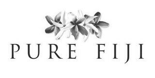 Pure Fiji products at The Beauty Room Kaitaia